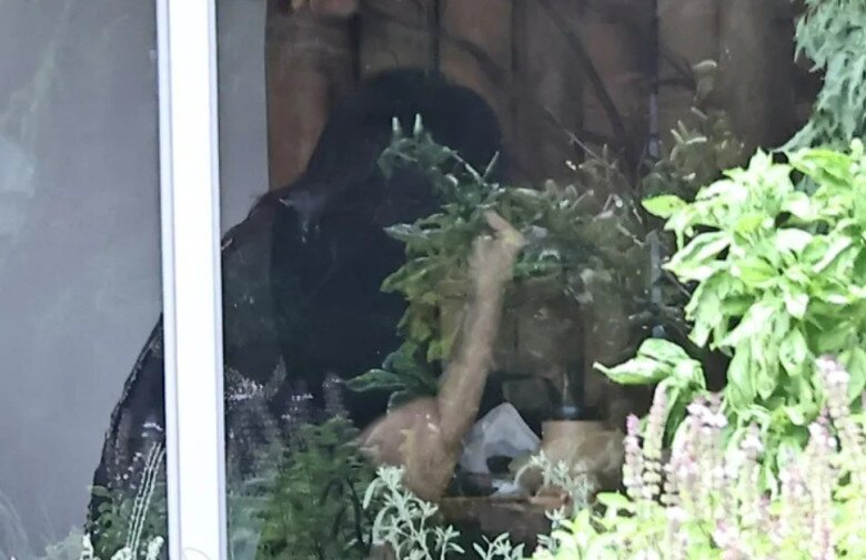 Ngôn Thừa Húc vừa ăn vừa khóc, một tay lau nước mắt.