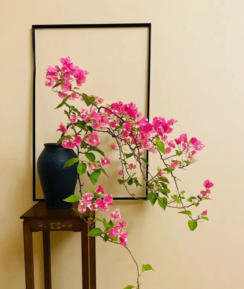 Sau 10 năm trồng hoa giấy, tôi mới hiểu lý do tại sao ngày càng nhiều người cho nó vào “danh sách đen” - 2