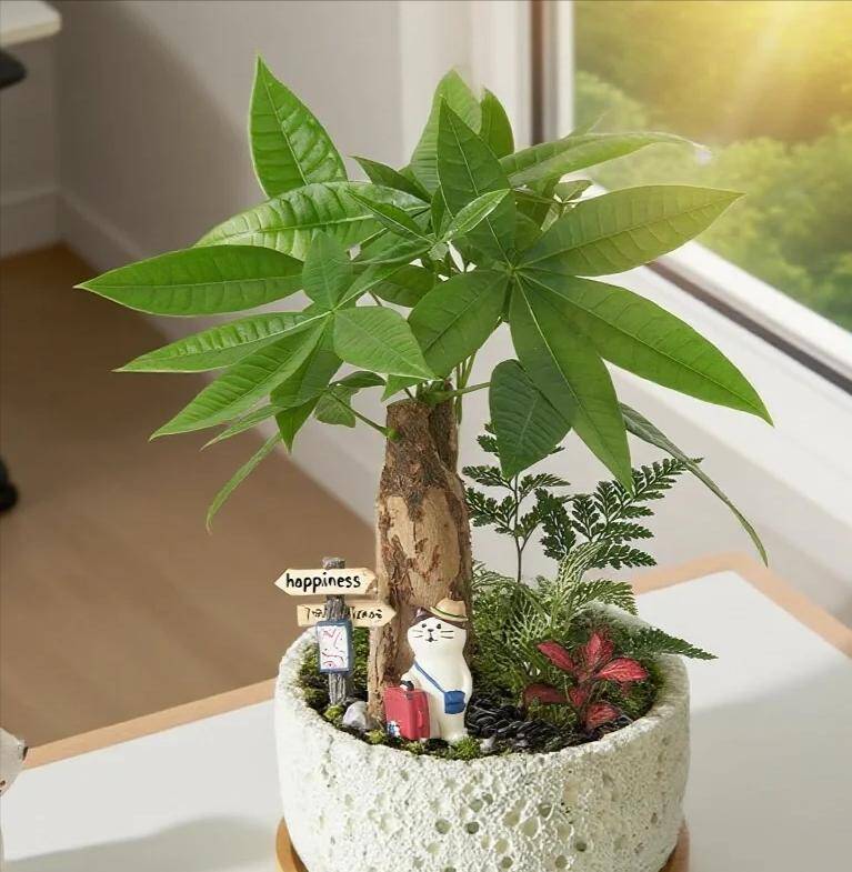 Xem thêm: Khám phá 3 loại cây cảnh vừa dễ trồng, vừa giúp bạn có giấc ngủ ngon sâu hơn