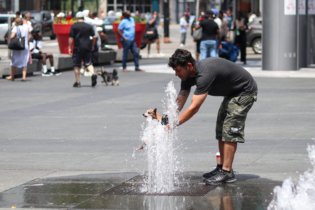 Người dân giải nhiệt cho chó cưng ở quảng trường Sanfoka, Toronto, ngày 22/6. Ảnh: Reuters