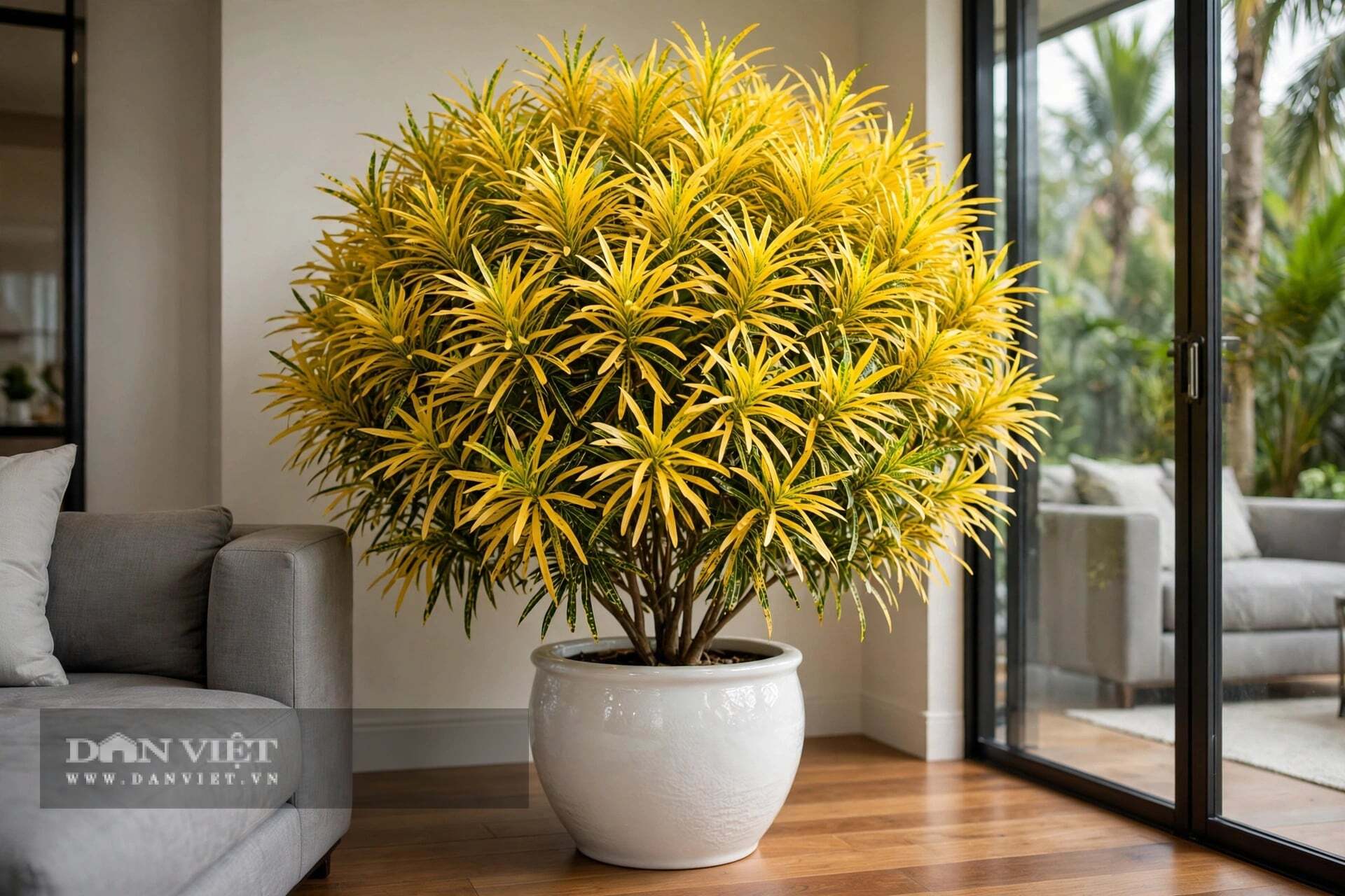 Gió rung, lá xào xạc như tiếng lộc về.