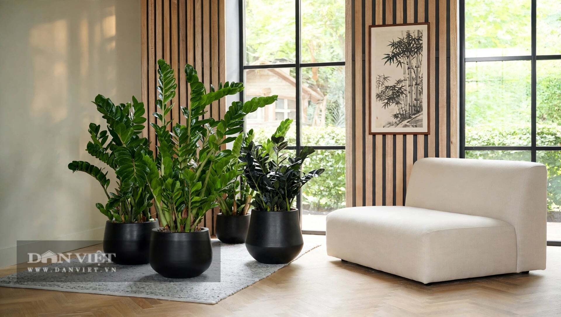 Thực ra, trồng cây cảnh không bao giờ là chuyện số lượng.