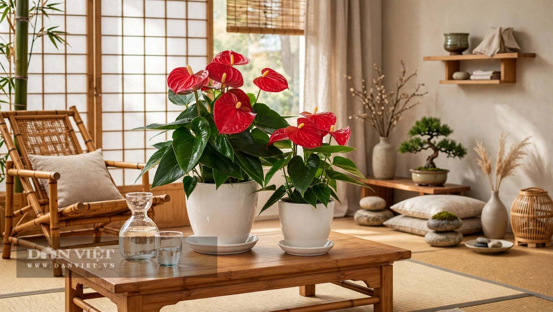 Cây cảnh này có bộ rễ mập