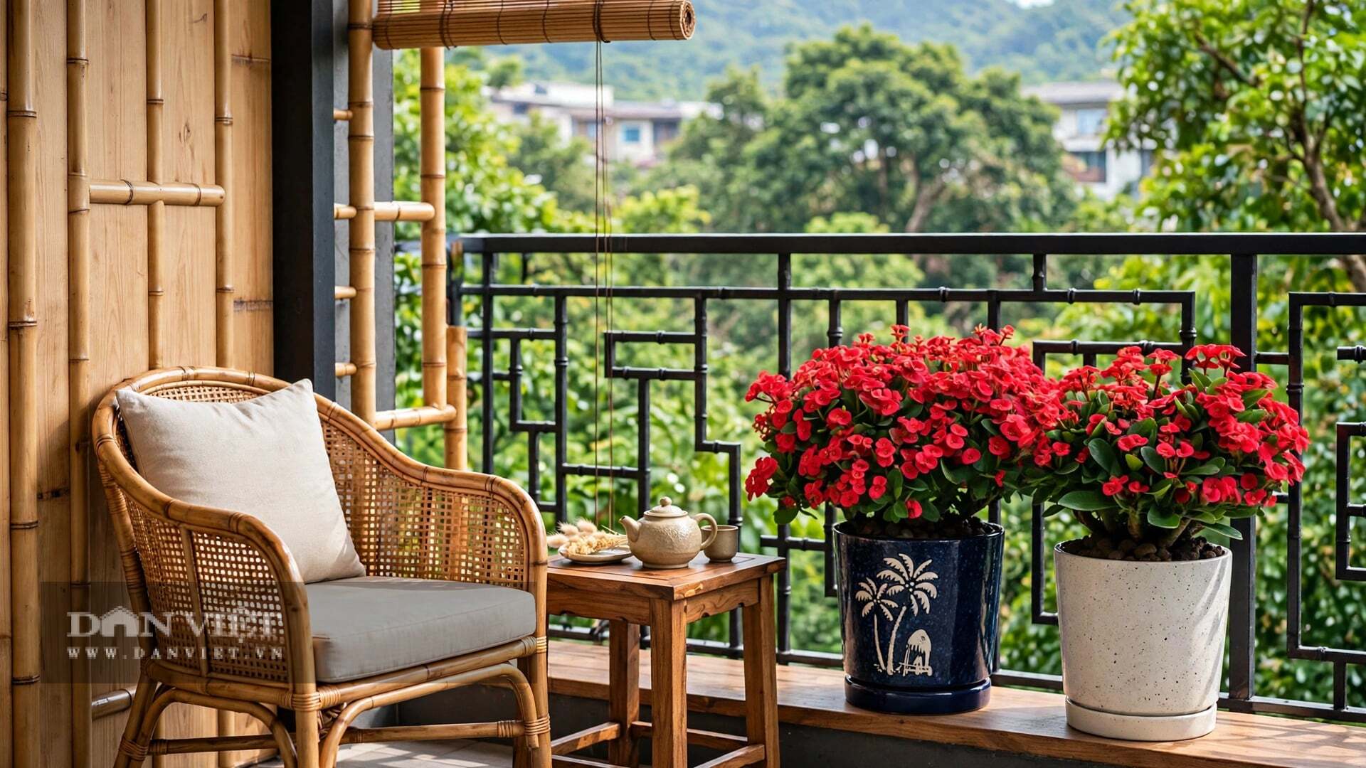 Thân cây cảnh chi chít gai nhọn trông gai góc