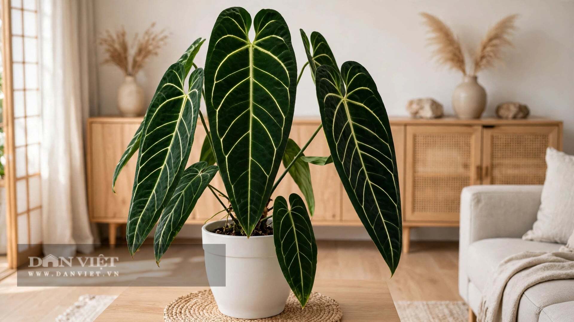 Một lớp nhung mịn màng, lì và sâu