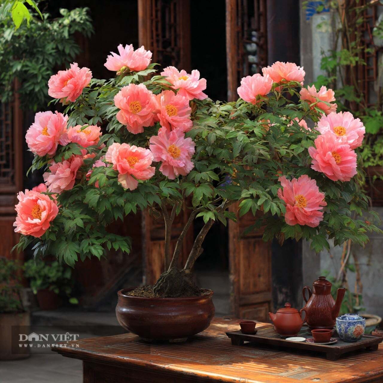 Cây cảnh có tuổi thọ cao