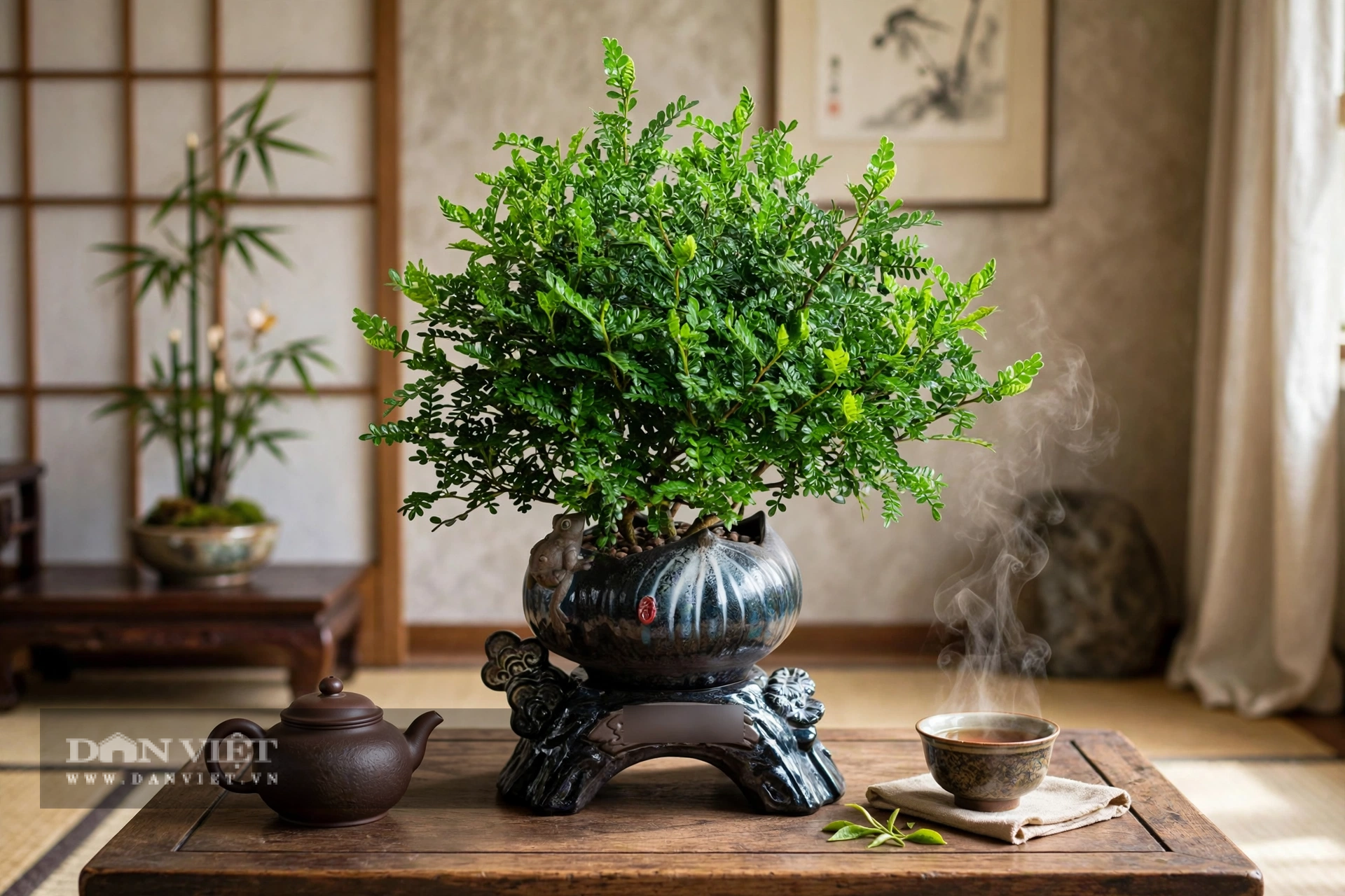 Thoạt nhìn, cây cảnh không rực rỡ.