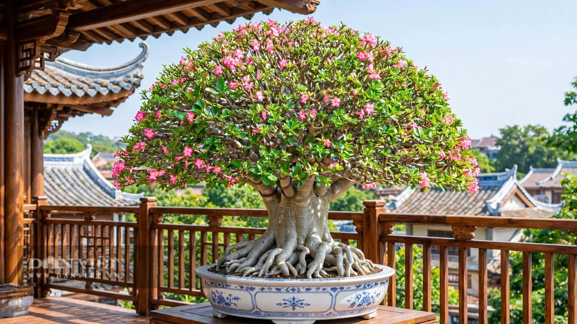 Cành cây cảnh khẳng khiu, gân guốc