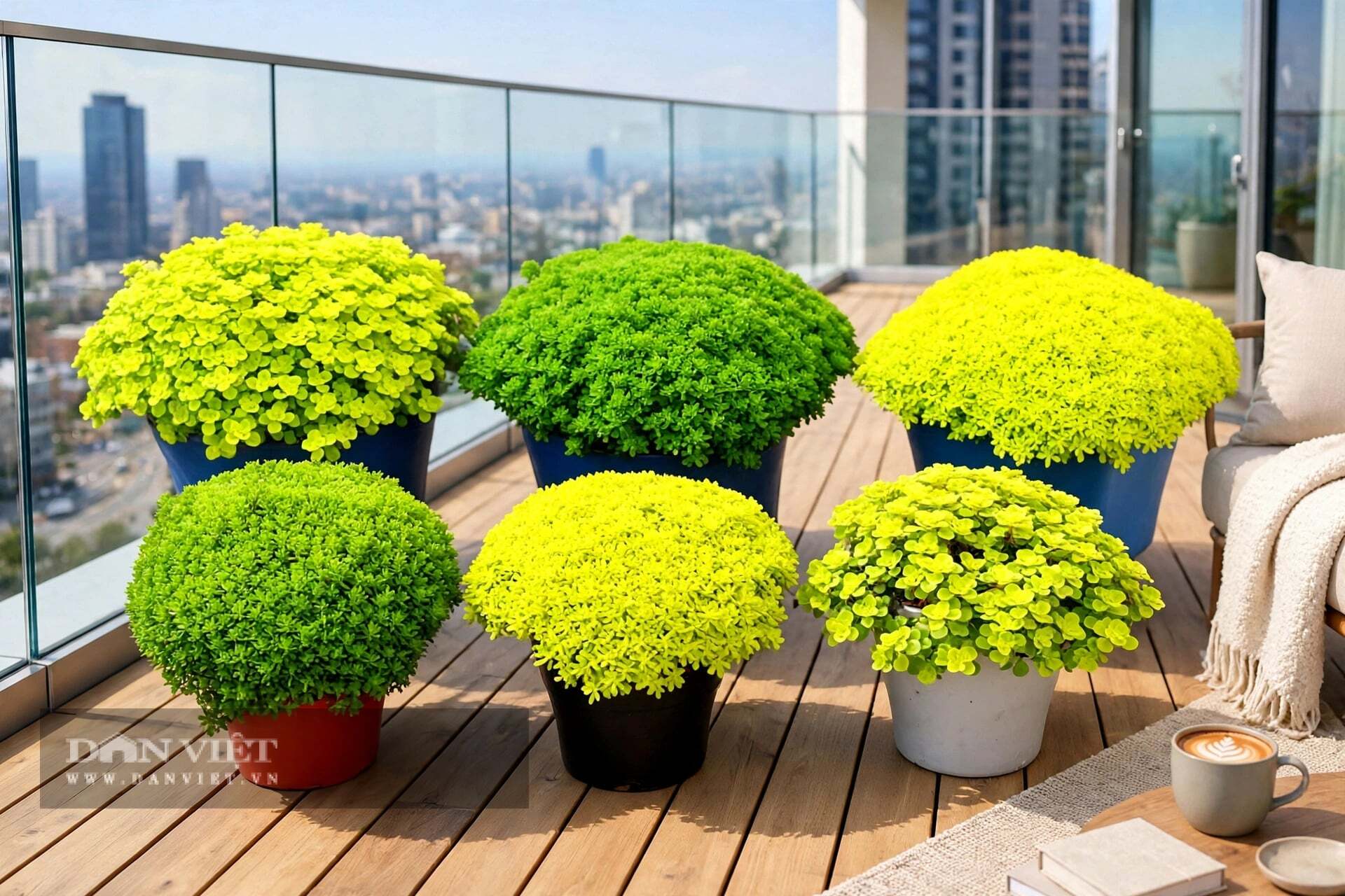 Trong văn hóa phương Đông, vàng còn là màu của vua chúa, của ánh mặt trời, của tài lộc không bao giờ cạn.