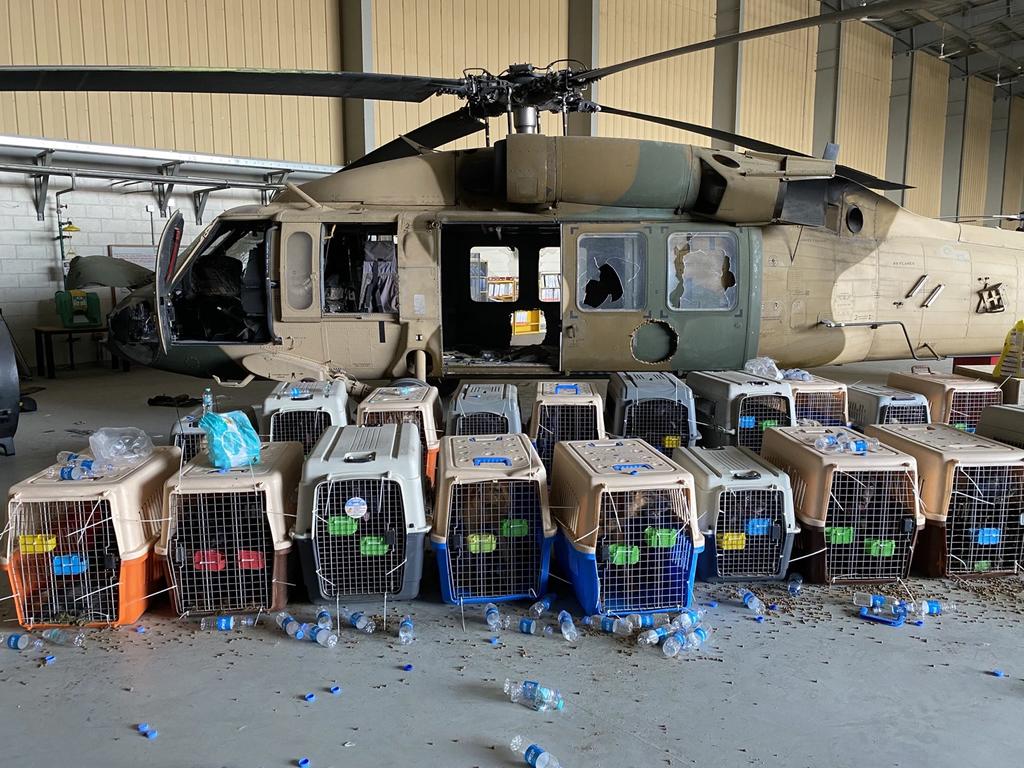 Lồng chốt chó được cho là bị bỏ lại ở sân bay Kabul. Ảnh: Facebook/Veteran Sheepdogs of America