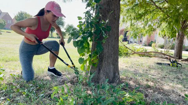 Ca sĩ Hồng Ngọc có vườn hàng nghìn mét vuông tại Mỹ, 2 năm không phải mua trứng gà - 3