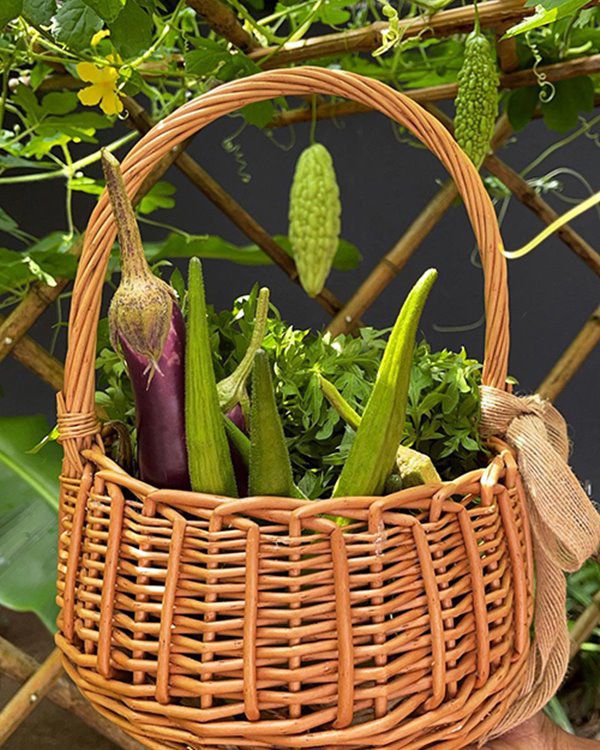 Mẹ 2 con được chồng cũ chu cấp 10 tỷ/tháng, trồng hoa trái, nuôi gà chẳng khác gì ở quê - 3