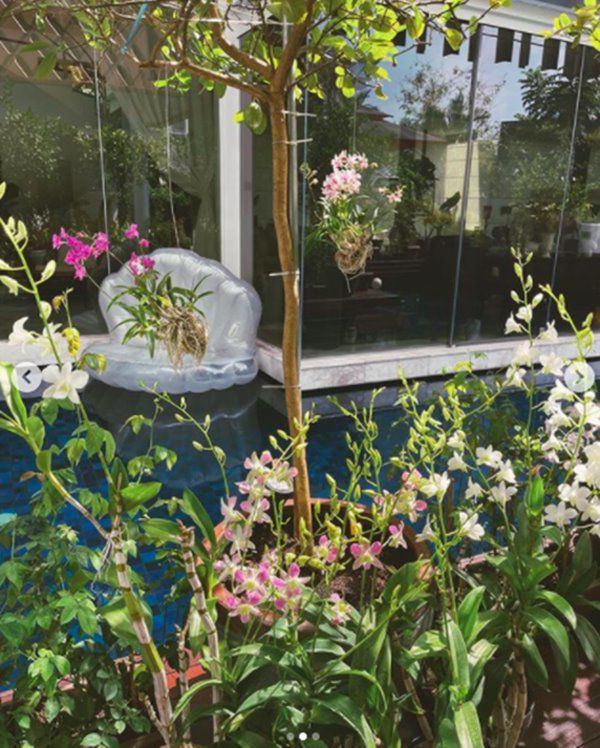 Mẹ 2 con được chồng cũ chu cấp 10 tỷ/tháng, trồng hoa trái, nuôi gà chẳng khác gì ở quê - 9