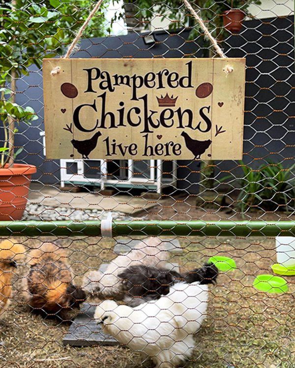 Mẹ 2 con được chồng cũ chu cấp 10 tỷ/tháng, trồng hoa trái, nuôi gà chẳng khác gì ở quê - 10