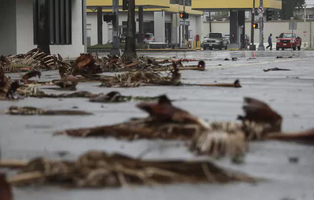 Mỹ: Bão Nicholas tấn công vùng duyên hải vịnh Mexico, mưa như trút nước gây ngập lụt, mất điện - Ảnh 9. Mỹ: Bão Nicholas tấn công vùng duyên hải vịnh Mexico, mưa như trút nước gây ngập lụt, mất điện - Ảnh 9.
