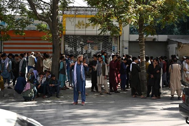 Taliban yeu cau nhan vien nu trong chinh quyen Kabul tam nghi viec hinh anh 1