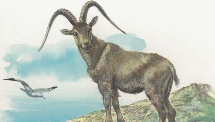 Tu 2022 - 2027: Bon con giap tam hy lam mon, giau sang het co-Hinh-7