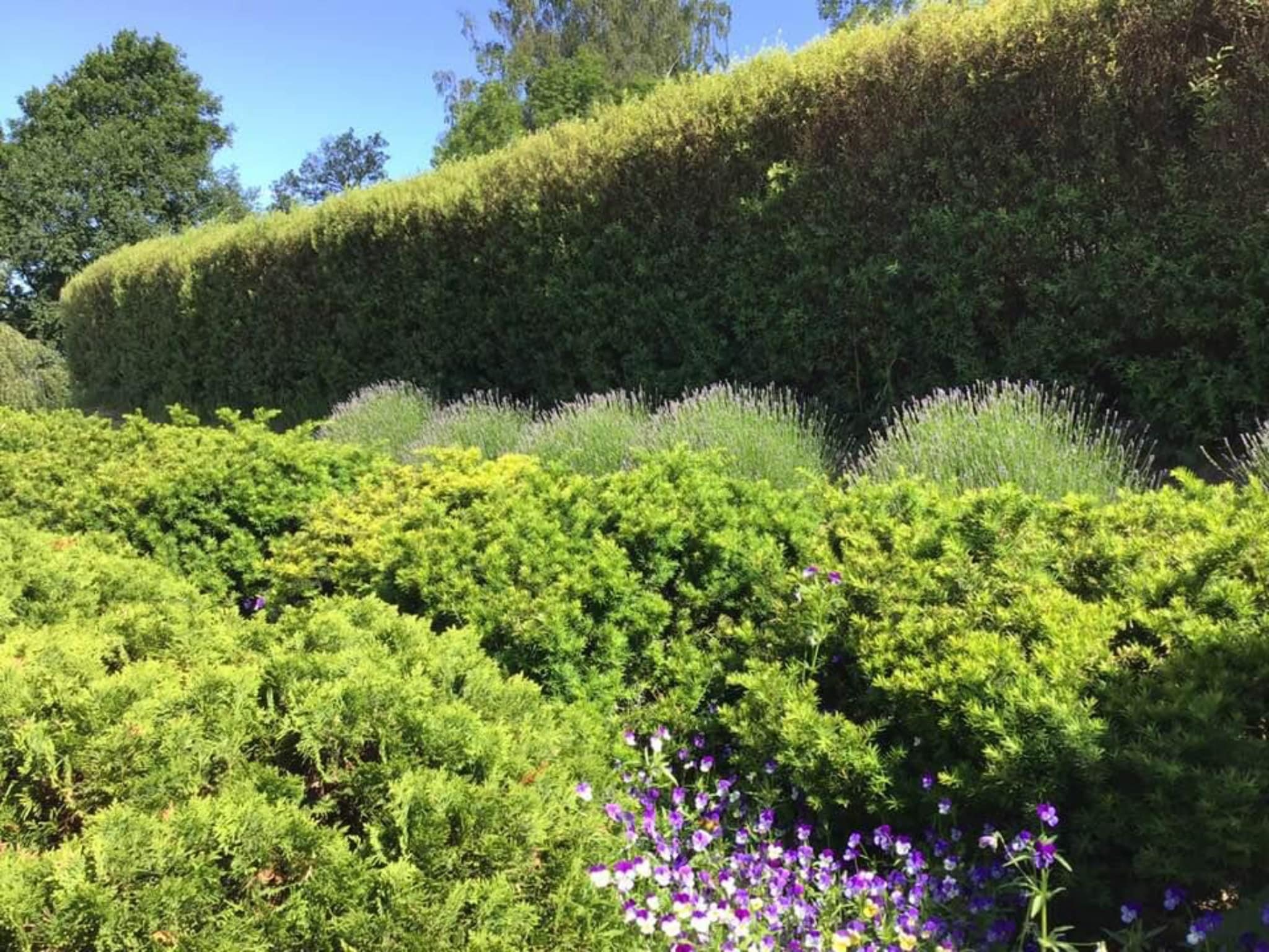 Ngôi nhà “bé bằng cái kẹo”, không xa xỉ nhưng ai cũng phải khao khát Ngôi nhà “bé bằng cái kẹo”, không xa xỉ nhưng ai cũng phải khao khát