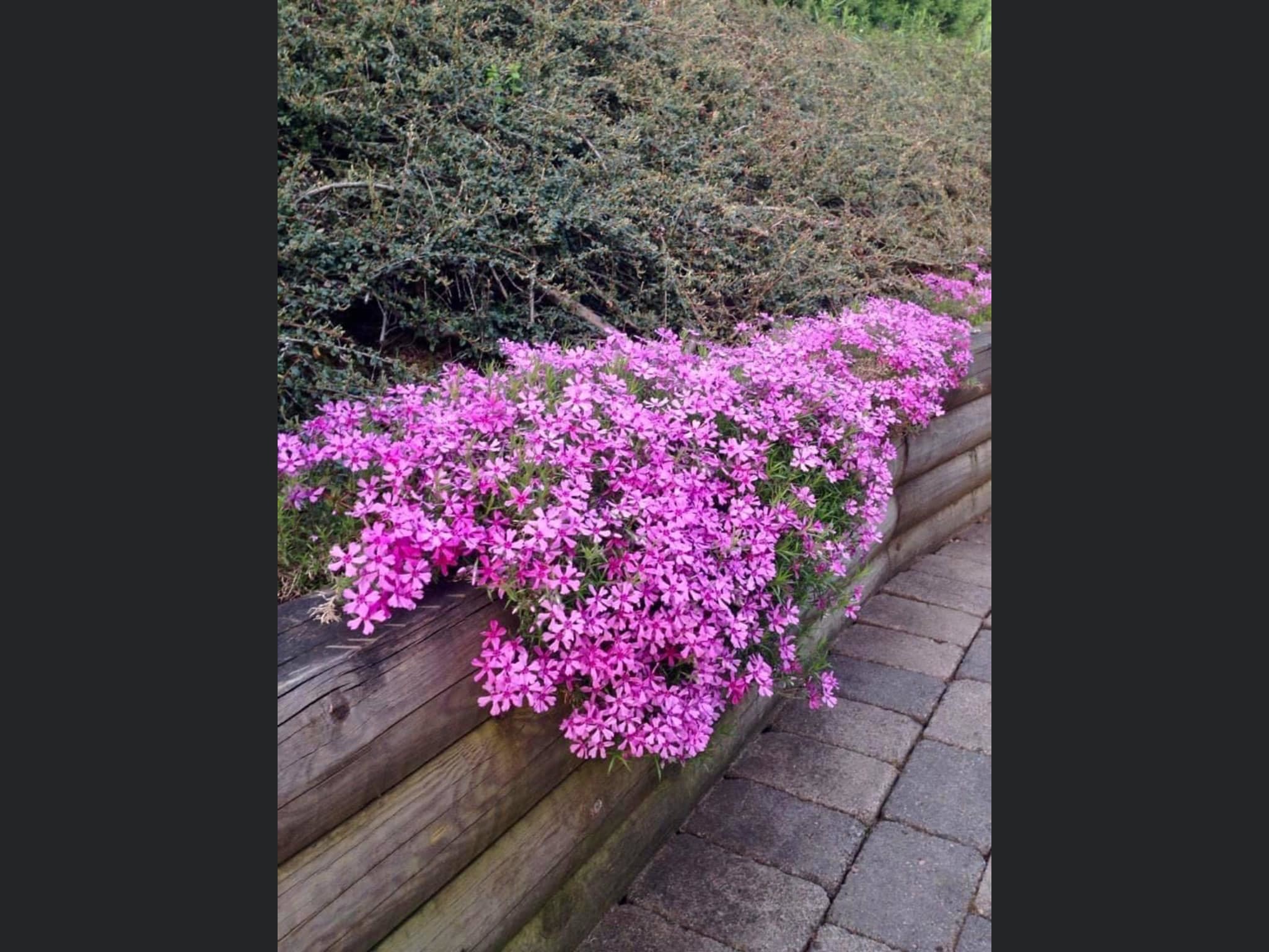 Ngôi nhà “bé bằng cái kẹo”, không xa xỉ nhưng ai cũng phải khao khát Ngôi nhà “bé bằng cái kẹo”, không xa xỉ nhưng ai cũng phải khao khát