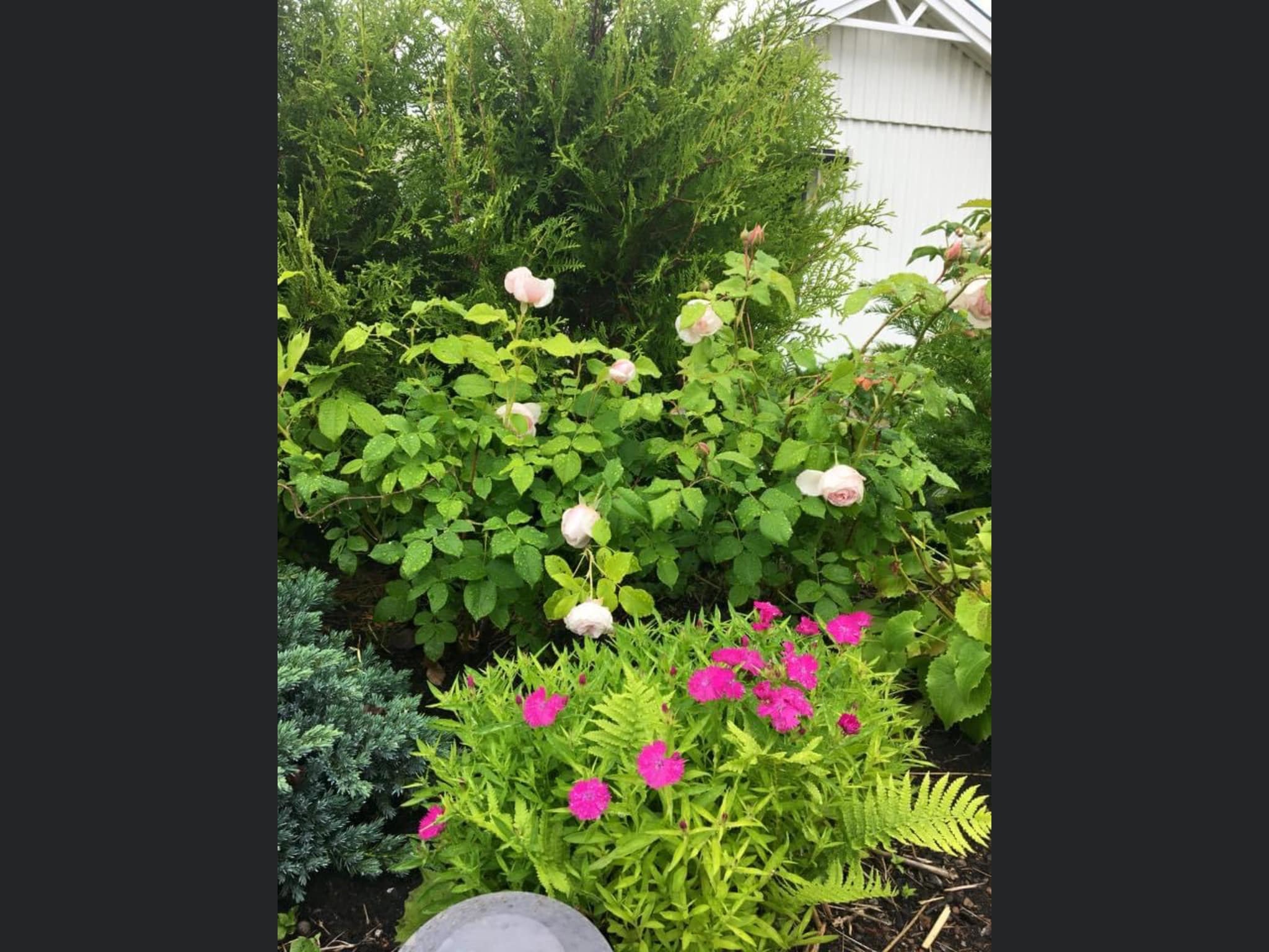 Ngôi nhà “bé bằng cái kẹo”, không xa xỉ nhưng ai cũng phải khao khát Ngôi nhà “bé bằng cái kẹo”, không xa xỉ nhưng ai cũng phải khao khát