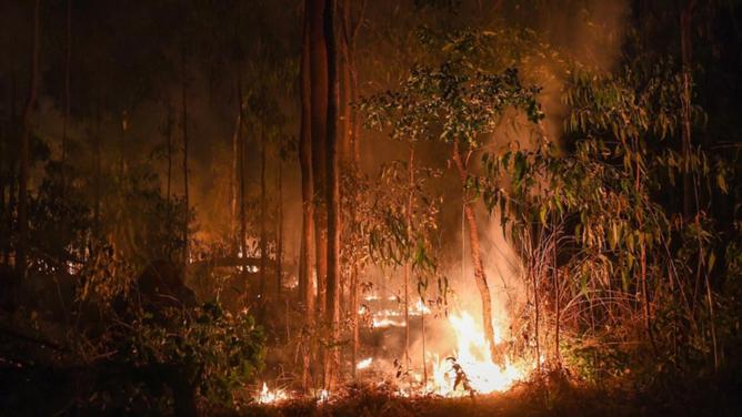 The risk of bushfires in spring has been lowered after higher winter rains reduced fuel loads. (Jono Searle/AAP PHOTOS)