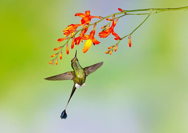 Sinh ngày Âm lịch này trời sinh có số đào hoa, vượng vận quý nhân, cuộc sống viên mãn-3