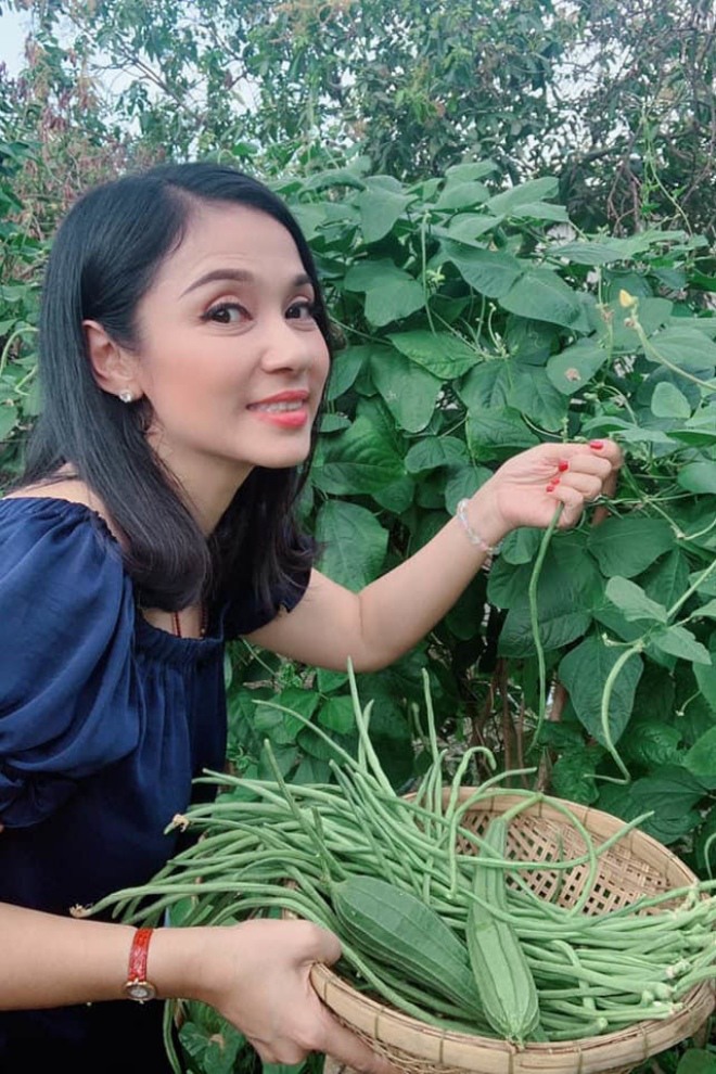 Giải nghệ sao Việt sống ở nơi sang: Việt Trinh có nhà vườn, Chi Bảo thêm cơ ngơi 1.600m2 - 5