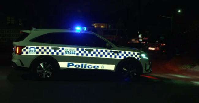 After reports of an assault, emergency services went to an house on Lesley Grove in Noble Park just after 1am on Friday.
