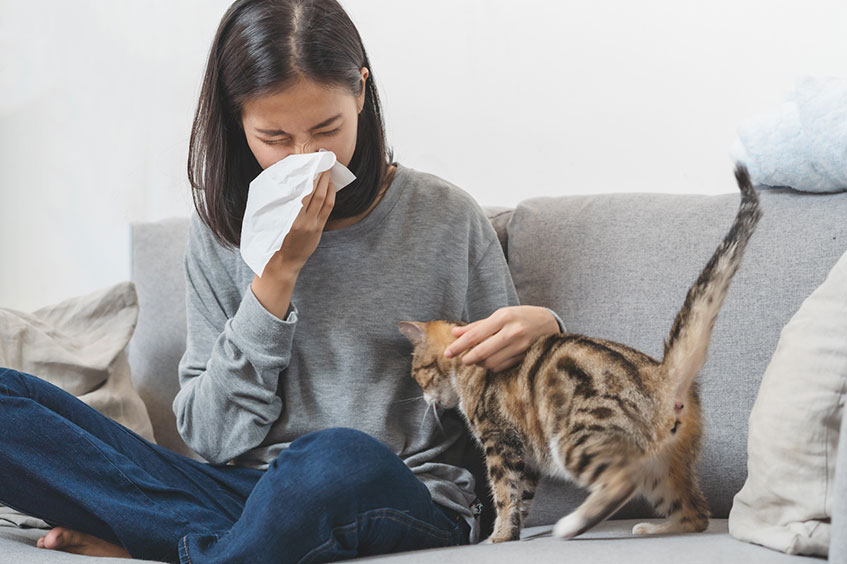 Cách phòng ngừa viêm mũi dị ứng cho người hay tiếp xúc chó mèo - 1
