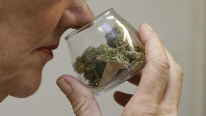 A trial in Victoria will look at the level of impairment medicinal cannabis can cause. (AP)