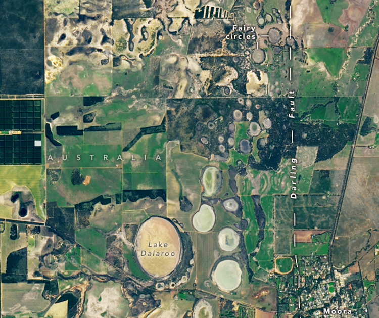 Vệ tinh Landsat 9 chụp ảnh các vòng tròn thần tiên gần thị trấn Moora, Australia. Ảnh: NASA Earth Observatory