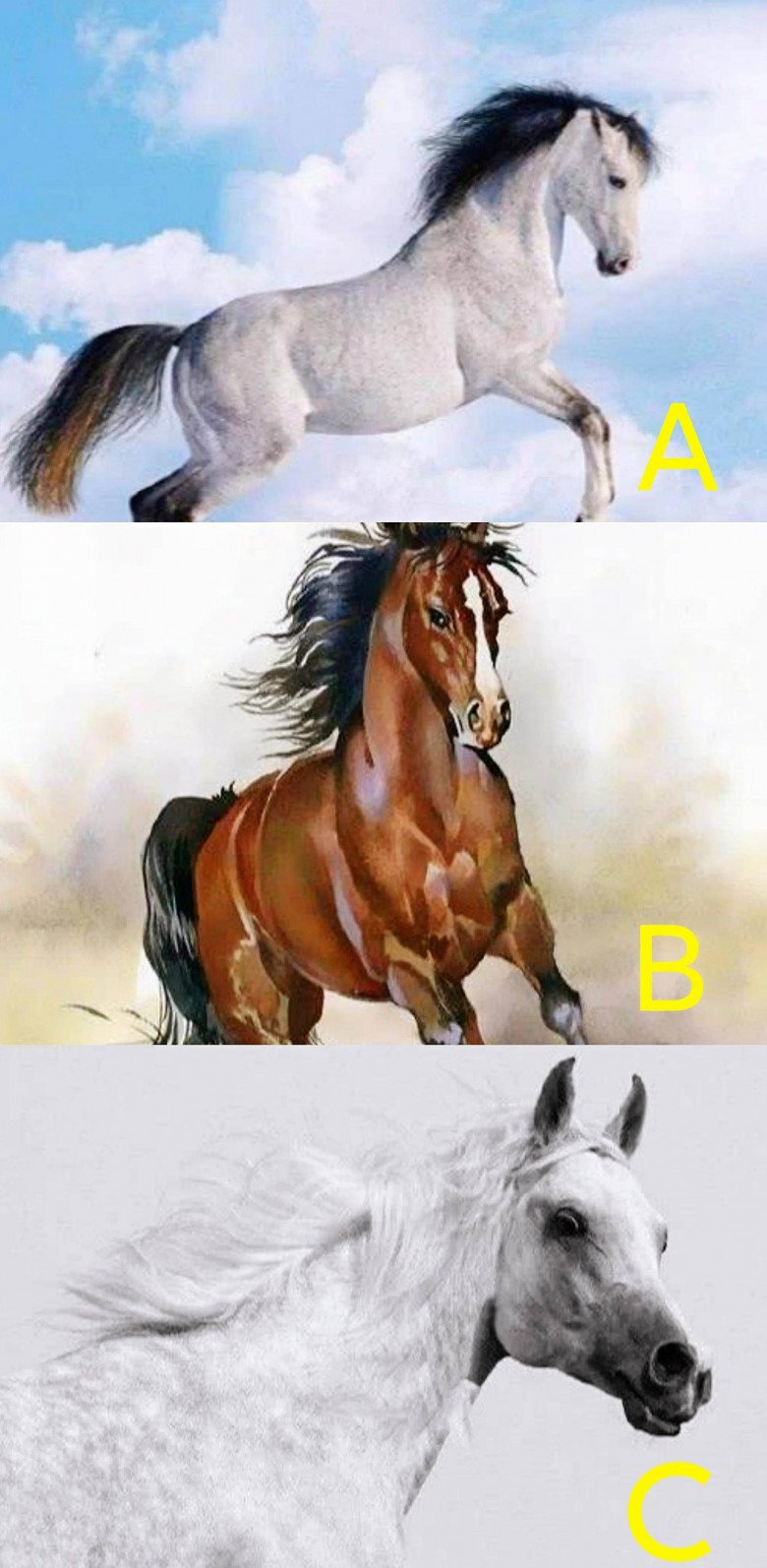 Trắc nghiệm tâm lý: Bạn nghĩ con ngựa nào chạy nhanh nhất? - 1