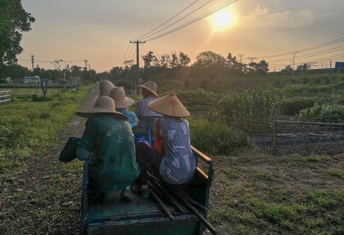 Nông dân ở Phật Bình, nơi nhiều sinh viên đến thực tập. Ảnh: Sixthtone