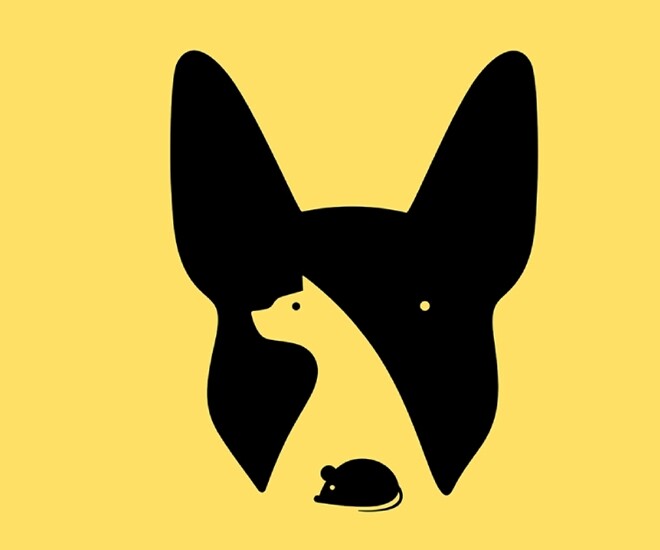 Trắc nghiệm: Hình ảnh đầu tiên bạn nhìn thấy là gì? Câu trả lời tiết lộ mức độ nhạy - 1