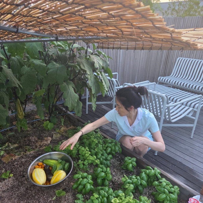 Lee Young Ae tự trồng rau quả nhiều năm qua. Cô có vườn sân thượng ở Seoul và một vườn khác tại ngoại ô.