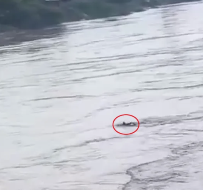 Những cảnh quay cuối cùng cho thấy Mohd Junaid, 19 tuổi đang chìm dần trước khi bị dòng nước lũ cuốn đi, ngày 4/9. Ảnh: Jam Press/TIM