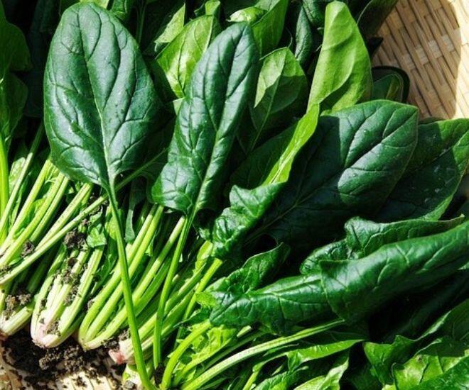 Rau chân vịt được xem là kho dinh dưỡng xanh cho sức khoẻ cơ thể (Ảnh minh hoạ)