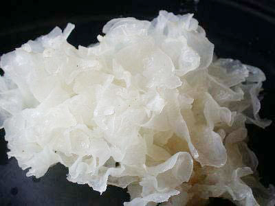 Ngân nhĩ tư âm nhuận phế.