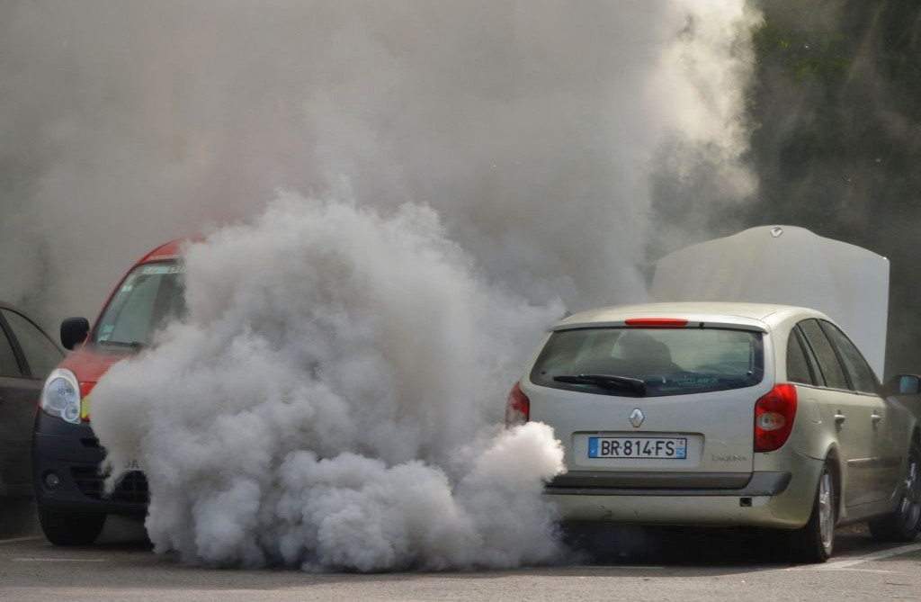 So với Việt Nam, tiêu thụ nhiên liệu ô tô ở các nước cao hay thấp?- Ảnh 1.