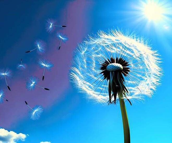 Qua tuổi 50, càng đến 4 chỗ này sẽ càng được lợi, con cháu giàu sang - 1