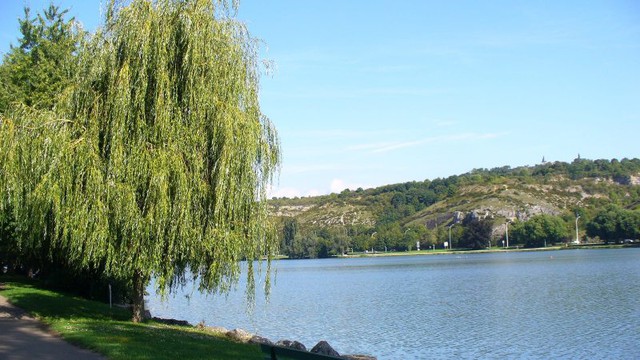 Trồng cây liễu trước cửa chẳng khác nào mở lối cho tiền tài, hạnh phúc chảy trôi ra khỏi nhà.