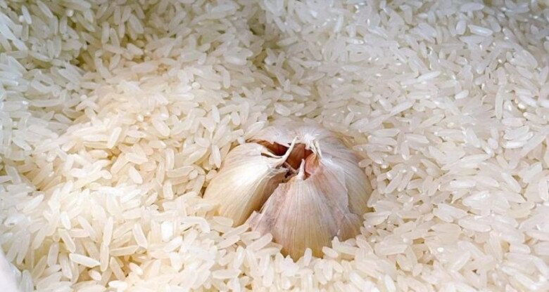 Vỏ tỏi là một “báu vật”, đây là 9 cách sử dụng rất thông minh, tiết kiệm vài trăm nghìn mỗi năm - 3