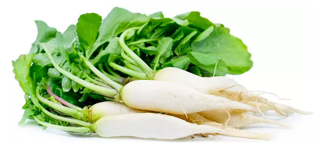 Củ cải trắng có thể thúc đẩy lưu thông máu hiệu quả, giúp loại bỏ chất thải trong cơ thể. Ảnh minh hoạ