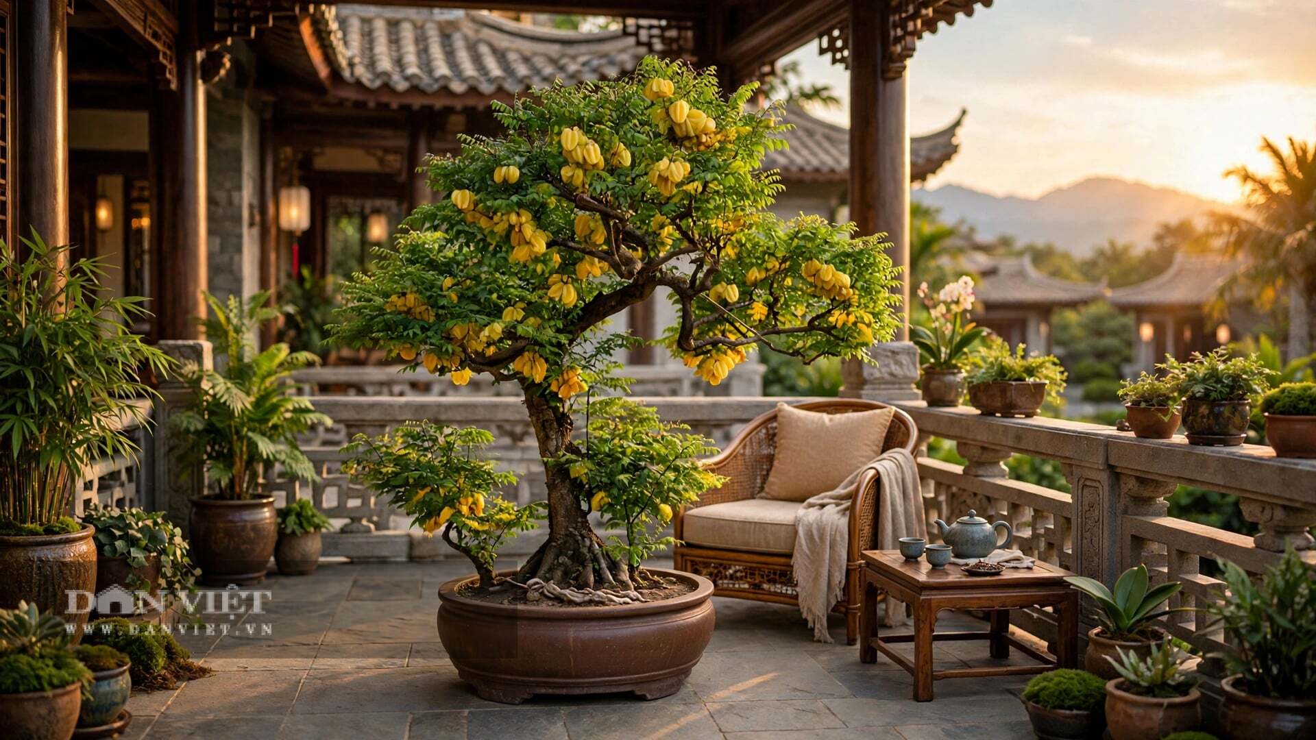 Thân cây cảnh không cần thẳng, chỉ cần có thế uốn lượn như nét vẽ thư pháp.