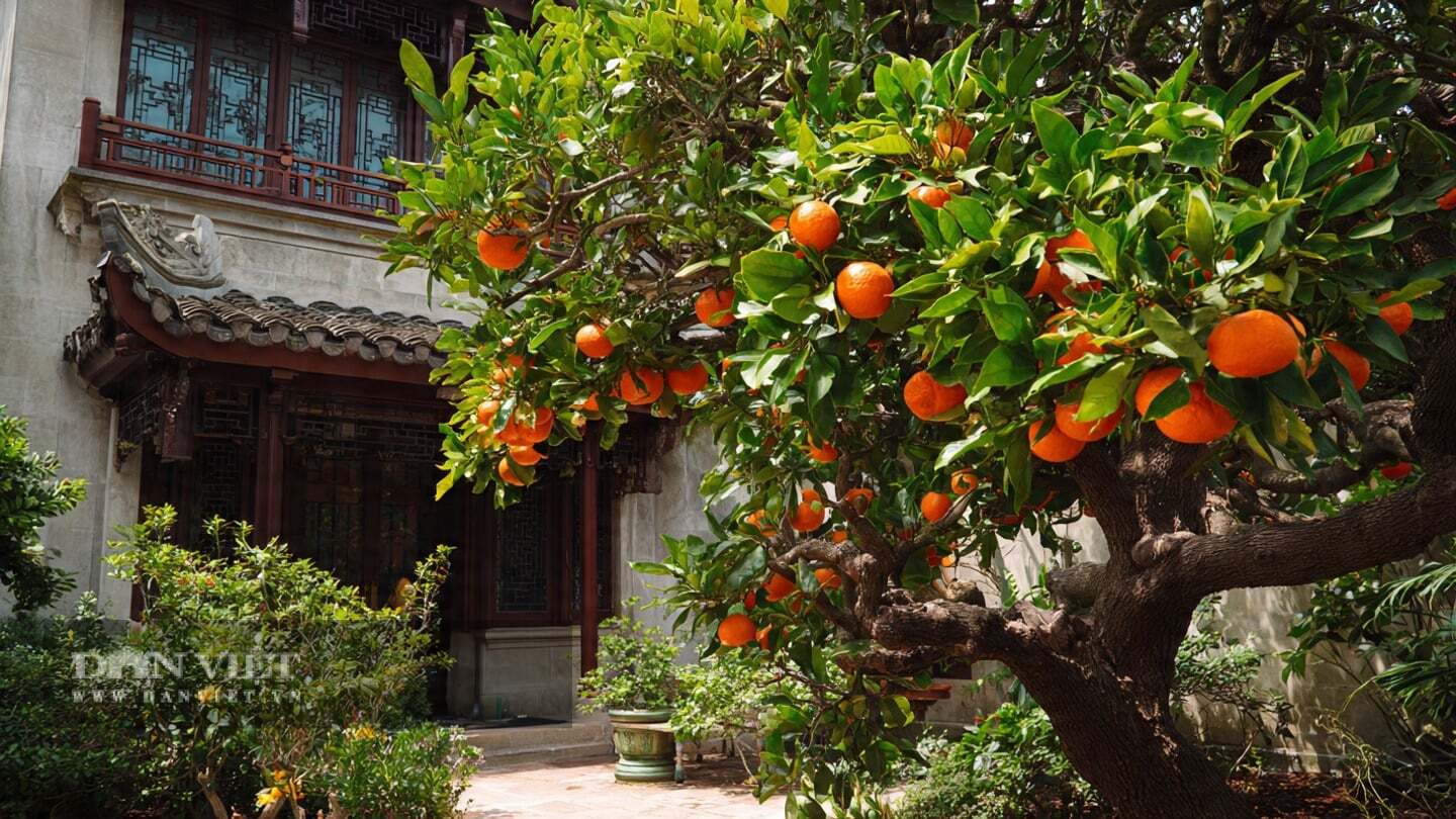 Bạn chỉ ở đó, với cây, với đất, với chính mình.