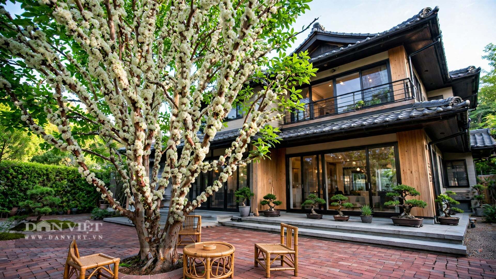 3 cây cảnh cho quả ngọt, tươi đẹp 4 mùa, trồng ở góc sân gia đình đại cát, phúc lộc dồi dào không dứt - 3