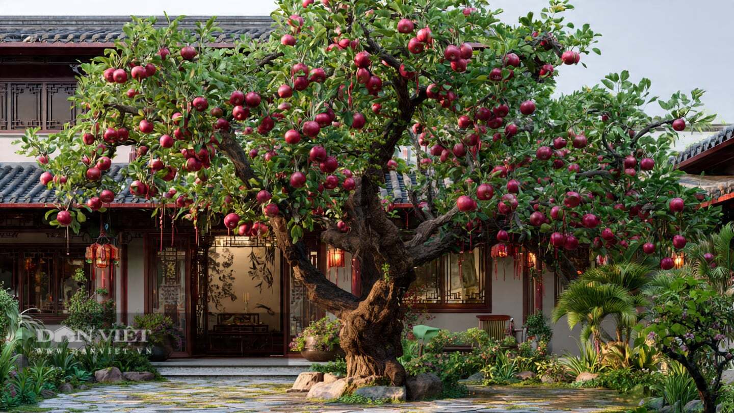 Chỉ cần một cây táo sai quả cũng đủ làm bừng sáng cả không gian.