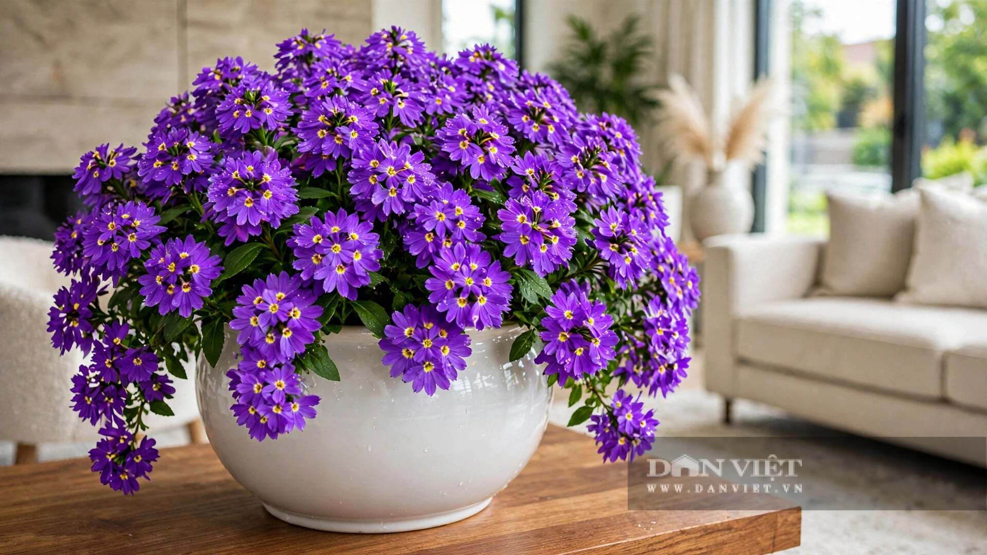 Giá trị chữa lành của màu xanh ở quạt xanh được thể hiện ở sự lạc quan.