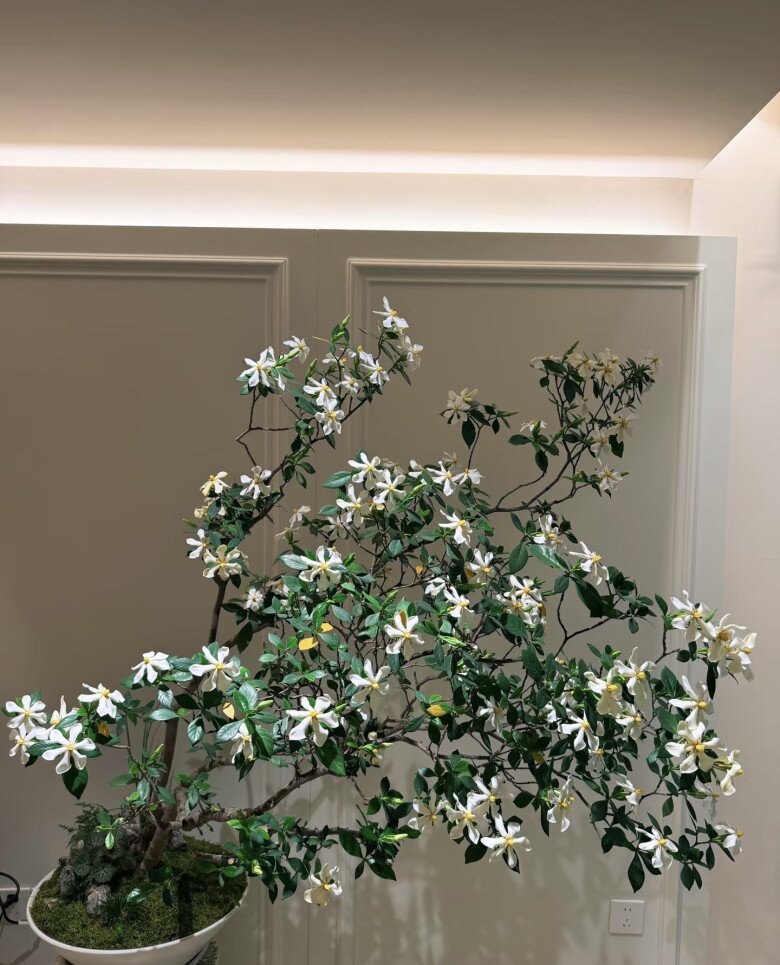 Cây dại cho hoa thơm nức mũi lên chậu thành bonsai tiền triệu, cắm cành vào đất là bén rễ, người lười mấy cũng trồng được - 4