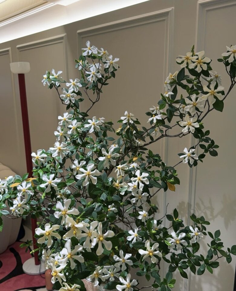 Cây dại cho hoa thơm nức mũi lên chậu thành bonsai tiền triệu, cắm cành vào đất là bén rễ, người lười mấy cũng trồng được - 5